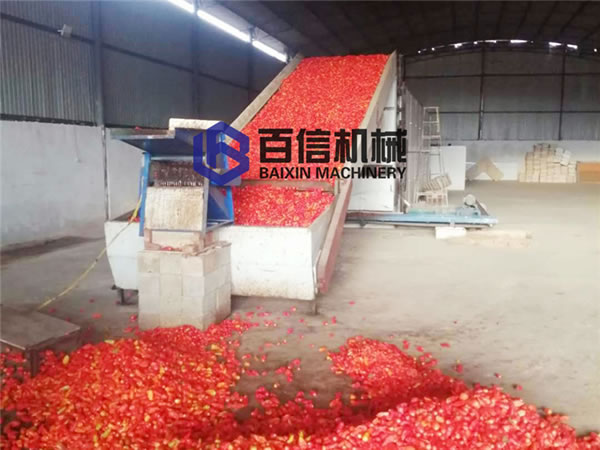網帶辣椒烘干機